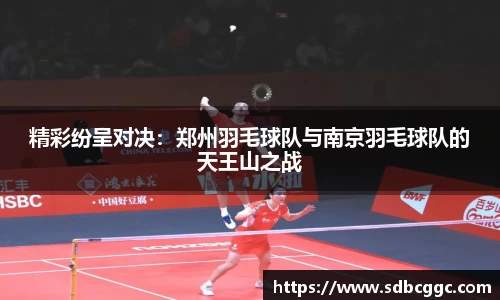精彩纷呈对决：郑州羽毛球队与南京羽毛球队的天王山之战