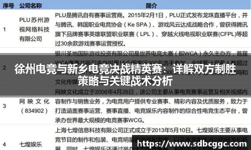 徐州电竞与新乡电竞决战精英赛：详解双方制胜策略与关键战术分析