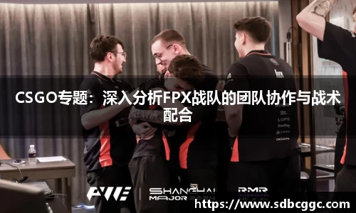 CSGO专题：深入分析FPX战队的团队协作与战术配合